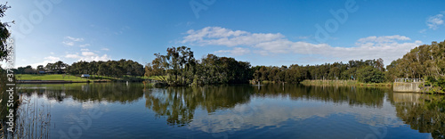 Beautiful panoramic view of a lake with reflections of blue sky  clouds  and trees on water  lake Pavillion  Sydney Olympic park  Sydney  New South Wales  Australia 