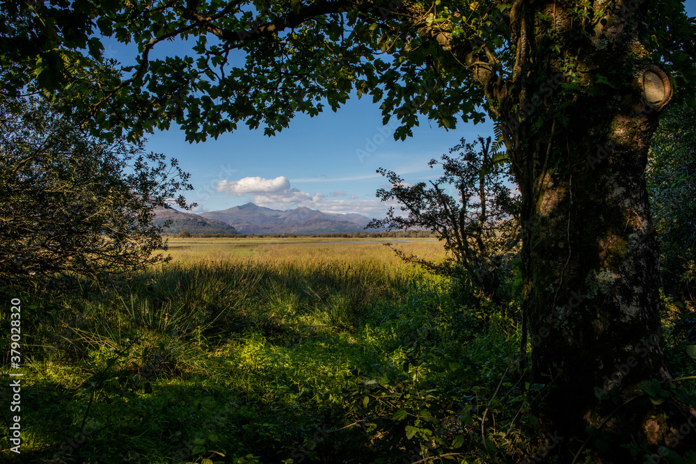 View of Snowdonia from Traeth Glaslyn Nature Reserve in Wales, UK View of Snowdonia from Traeth Glaslyn Nature Reserve in Wales, UK