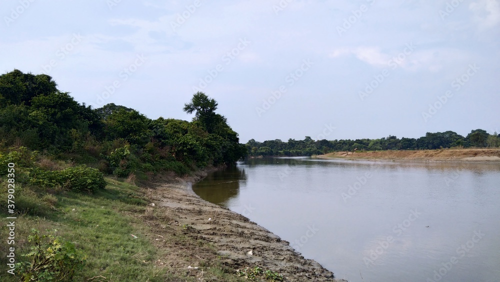 Bank of river, sky and series of trees