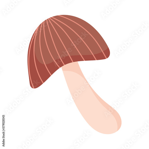 mushroom nature isolated design white background