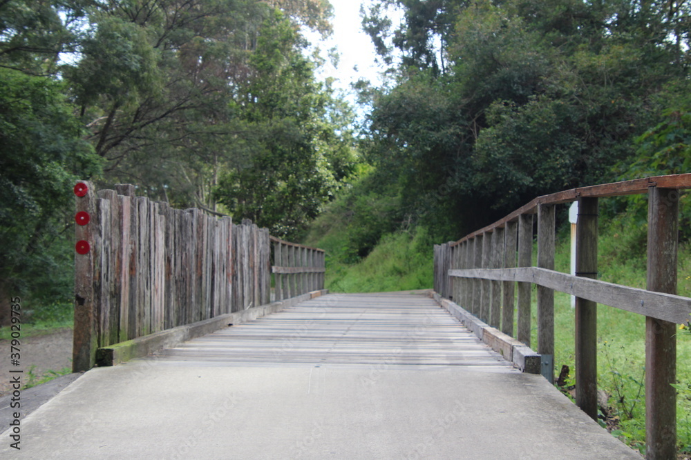 Old railway bridge on the Fernleigh Track a Walking and Bike Track Newcastle New South Wales Australia. A disused train tunnel on and old railway track