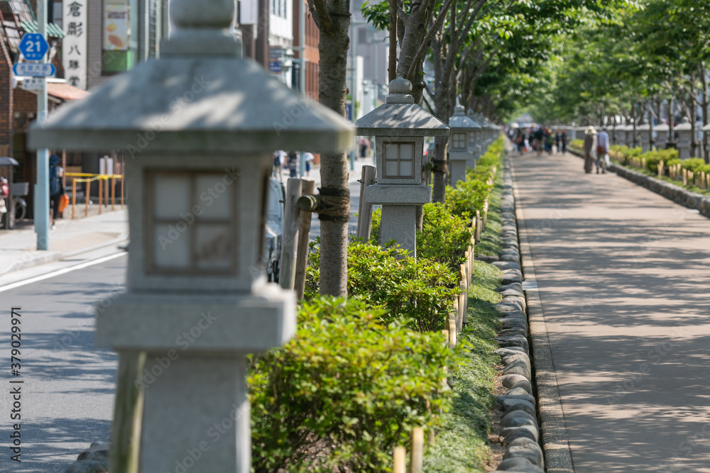 old stone lanterns lined up on side of the long street to shrine of kamakura in kanagwa prefecture, japan