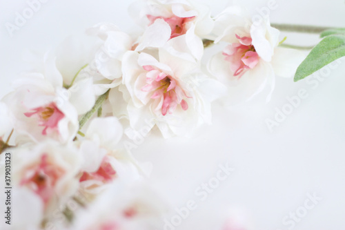 Flowers composition. Frame made of white tender flowers on white background. Flat lay, copy space © Olga