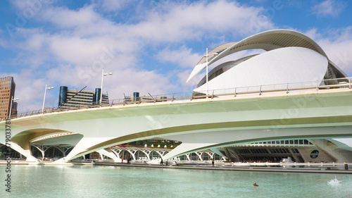 Architectural buildings in the city of arts and sciences in Valencia (Spain)