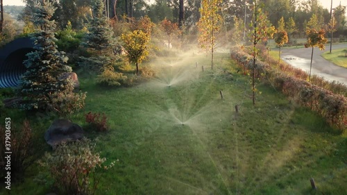 The automatic watering system irrigates lawn grass and other plants in the park at dawn. The sun's rays break through the branches of trees.