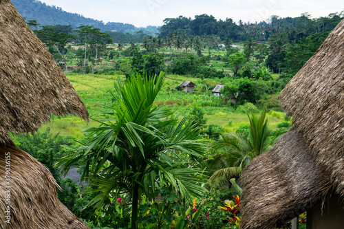 snapshot,bali,townscape,toropical,travel,village,forest,villagelife,relax,ubudo,culture,ricefield,trees,plant,green,country,
peaceful, sky,mount,daylife,
バリ島,町風景,旅行,トロピカル,森,ウブド,木,植物,風景,
自然,平和的, photo