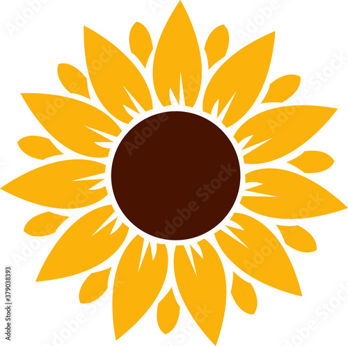 sunflower yellow vector flower