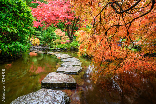 Fotografija Beautiful Japanese maple trees in the Butchart Gardens