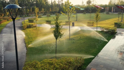 The automatic watering system irrigates lawn grass and other plants in the park at dawn. The sun's rays break through the branches of trees.