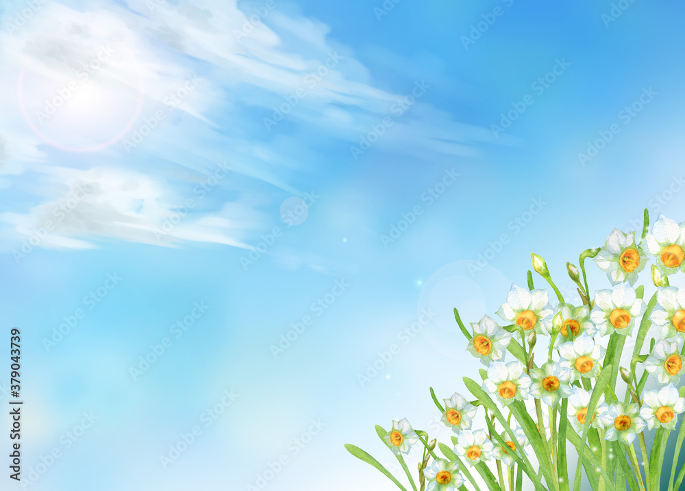 水仙の花畑と青空の風景　水彩画