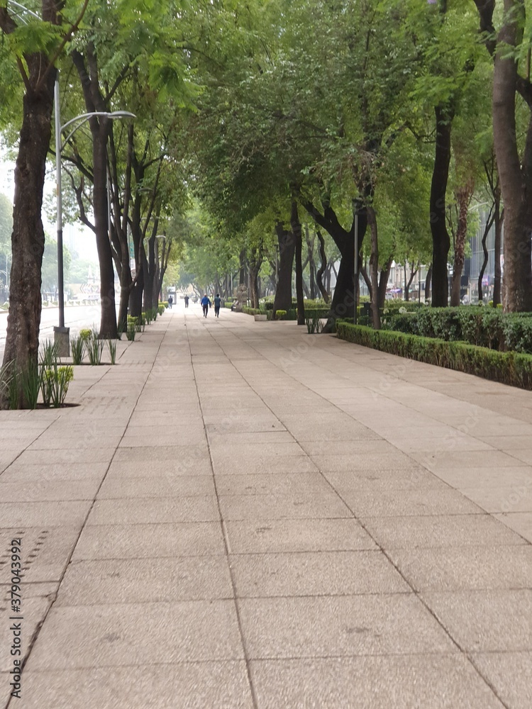 Obraz premium Paseo de la Reforma Ciudad de Mèxico 