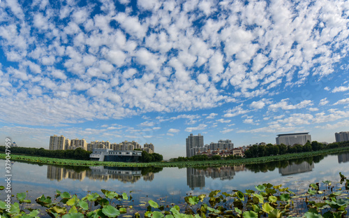 The skyline of urban park under the background of blue sky and white clouds