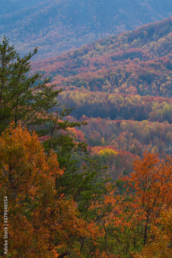 Autumn from Foothills Parkway, East Tennessee