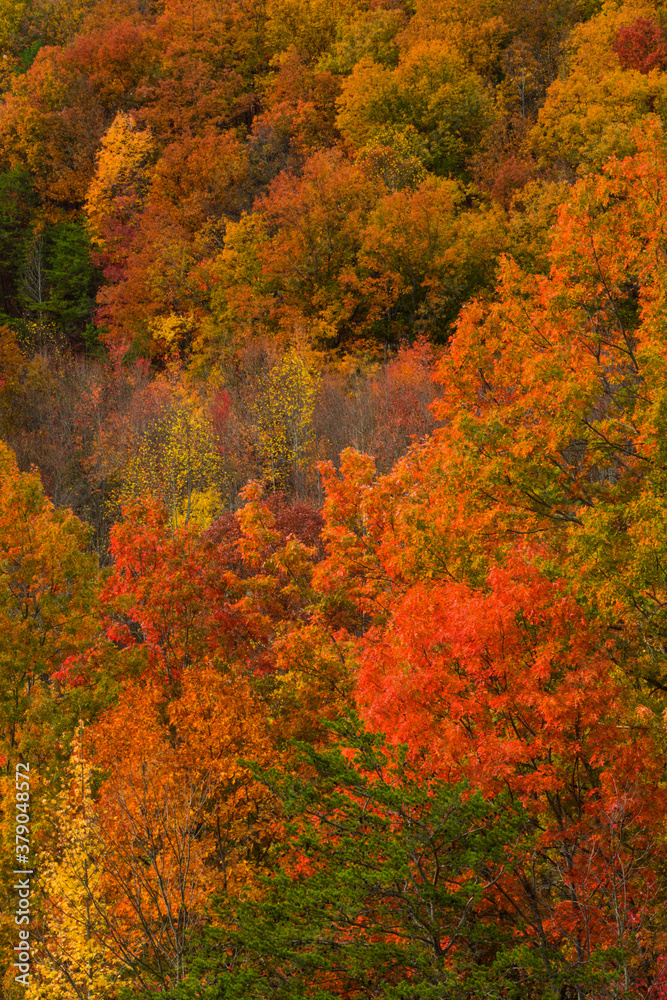 Autumn from Foothills Parkway, East Tennessee Autumn from Foothills Parkway, East Tennessee