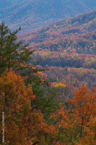 Autumn from Foothills Parkway  East Tennessee