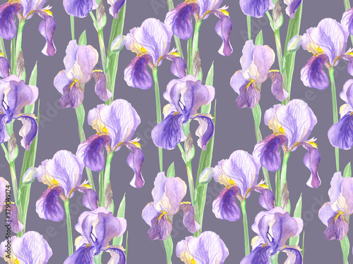 Fototapeta Naklejka Na Ścianę i Meble -  floral pattern with watercolor lilac iris flowers on gray background for surface design