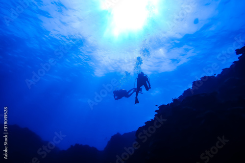 沖縄 ダイビング okinawa diving