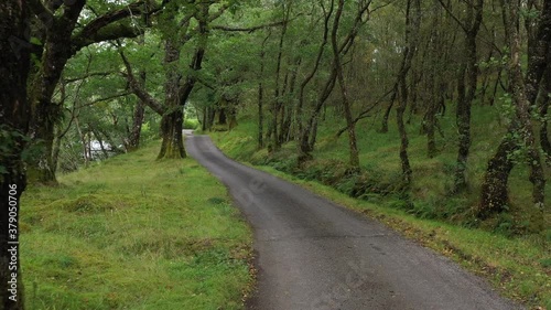 slow moving footage of a lonely road in a forest in the highlands of scotland in argyll