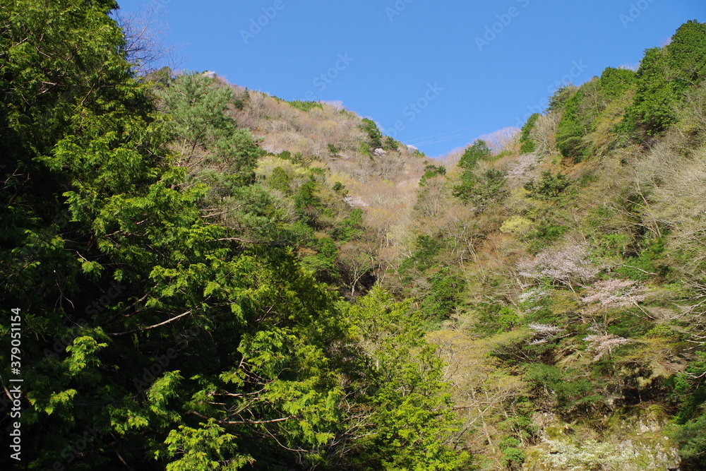 Mountain and sky scenery of Mitarai Valley in Nara Prefecture, Japan