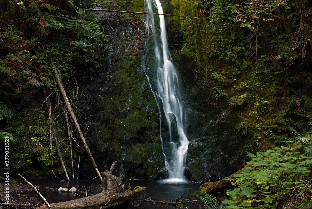 Obraz premium Madison Creek Falls - 01