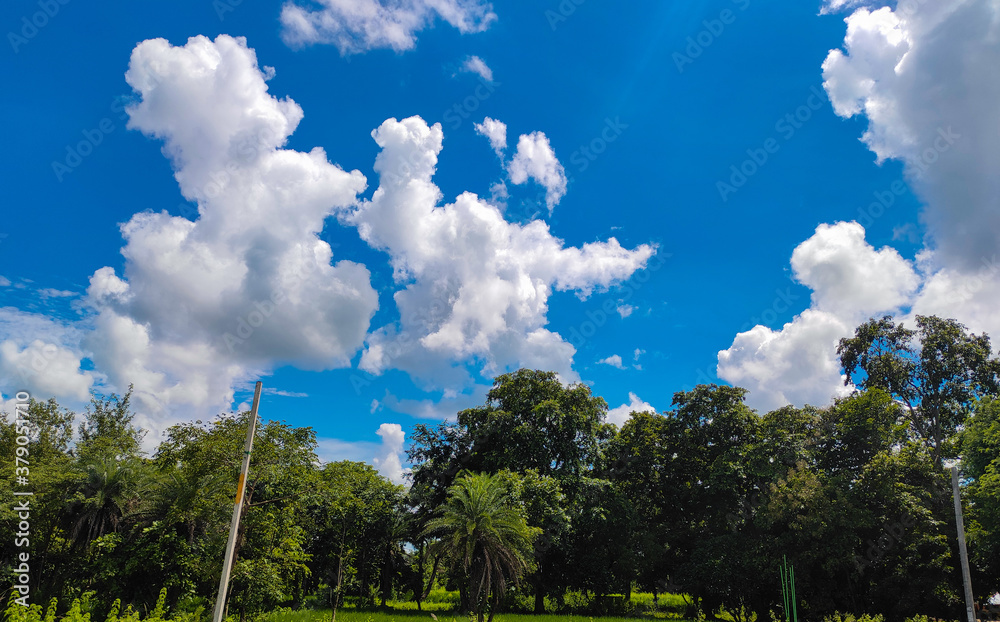 Obraz premium Beautiful autumn days.