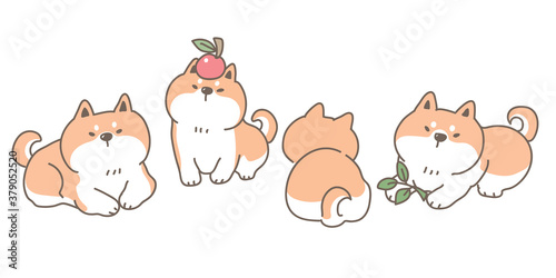 Set of Cartoon Shiba Inu dig Characters. Vector Illustration of Cute Chiba Inu Dogs on Isolated Background.