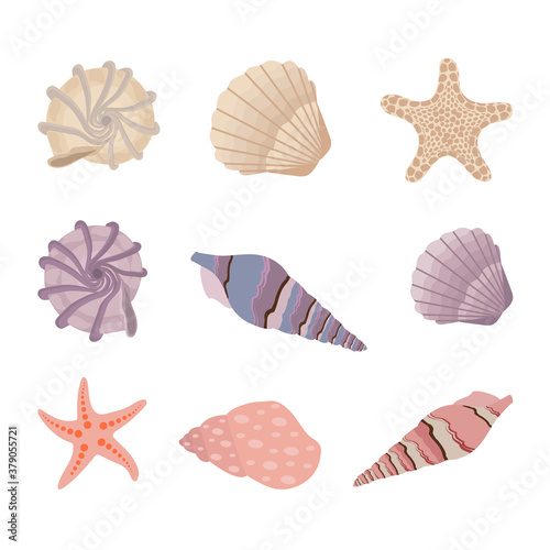 Vector illustration of a set of sea shells and starfishes