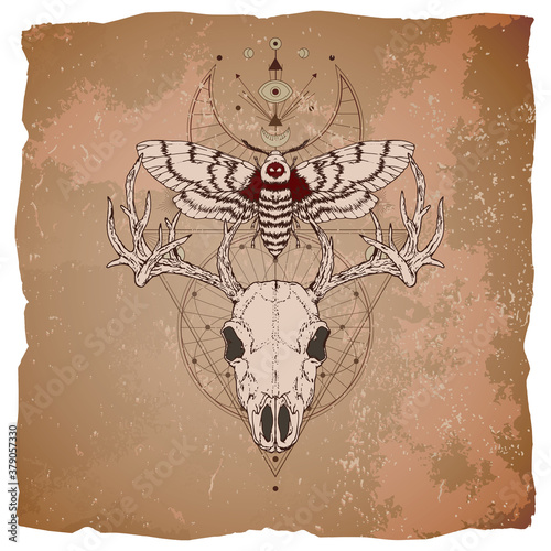 Vector illustration with hand drawn deer skull, dead head moth and Sacred geometric symbol on vintage paper background with torn edges.
