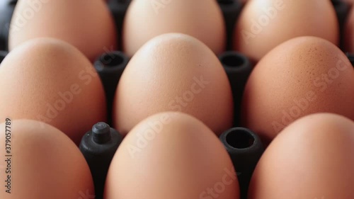 Dolly Shot Chicken Egg in Tray in Zoom View