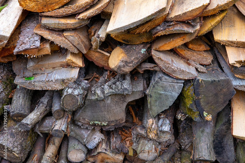 wood cut and prepared to make fire in the house wood cut and prepared to make fire in the house