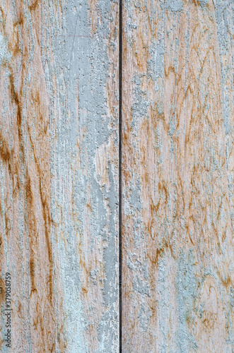 Grunge Texture of Old Wood Plank.