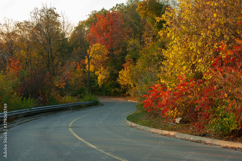Beautiful autumn road with colorful trees. Golden fall colors at sunset.