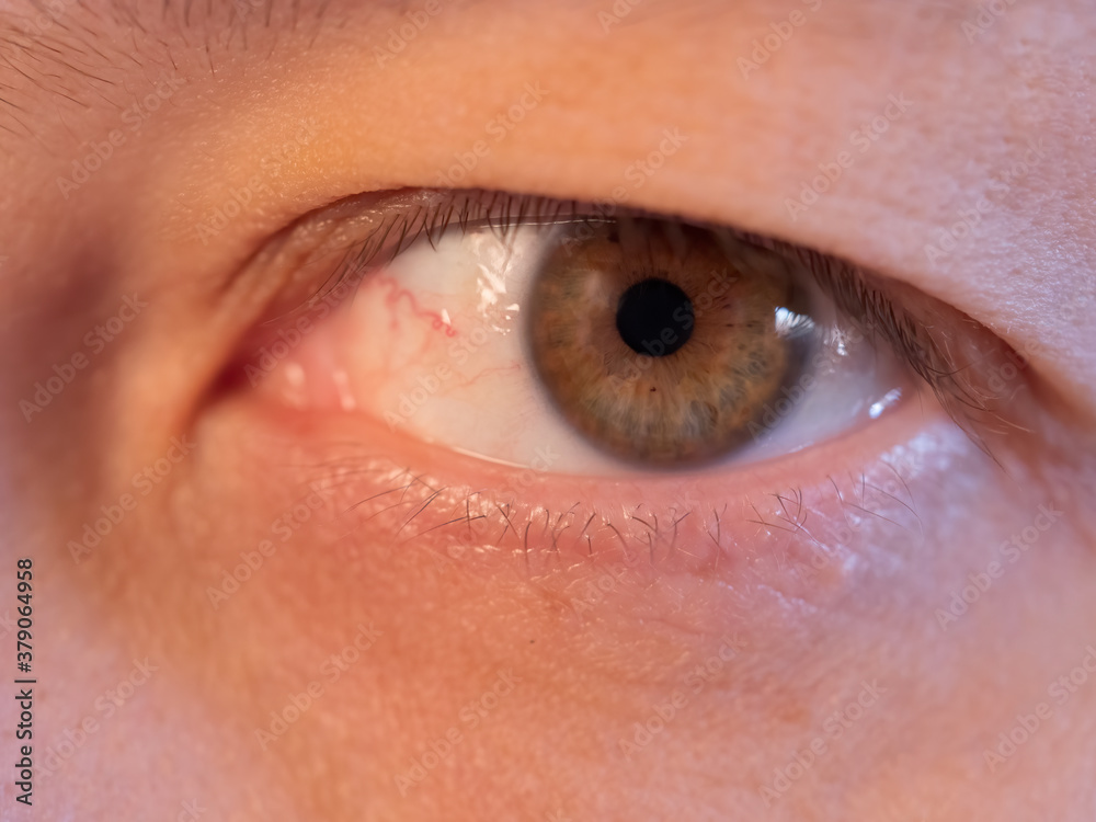 Fototapeta premium Eye macro detail, human eye close-up, macro shot, eyelashes, pupil. woman 35 years old. pink-green highlight. Shallow focus