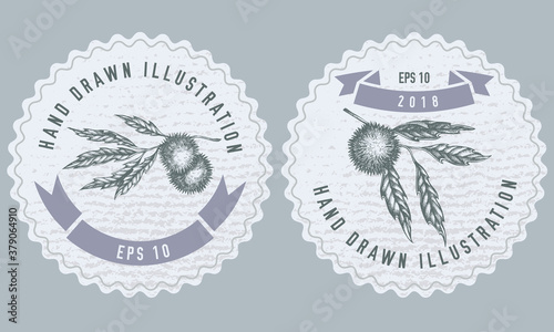 Monochrome labels design with illustration of chestnut