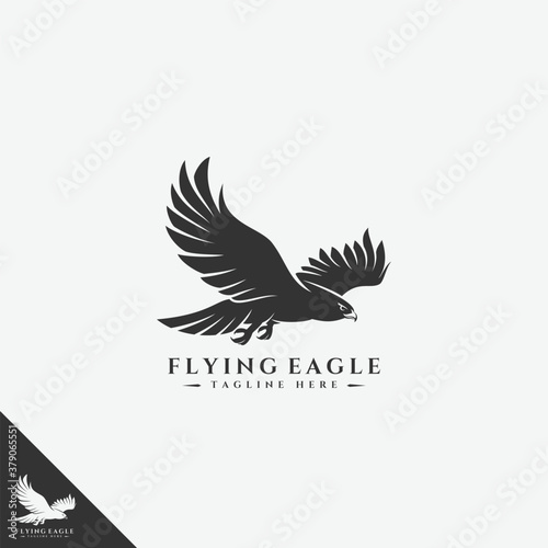 Flying Eagle Logo - Multipurpose vector art design that can be used for logo, symbol, printing, mascot, and many more