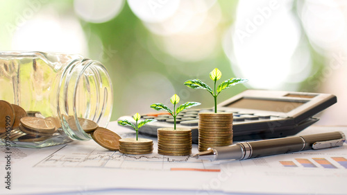 Plant trees on coins and calculators, financial accounting concepts and save money. photo
