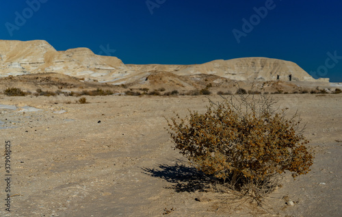 Stone desert in Israel travel attraction photo