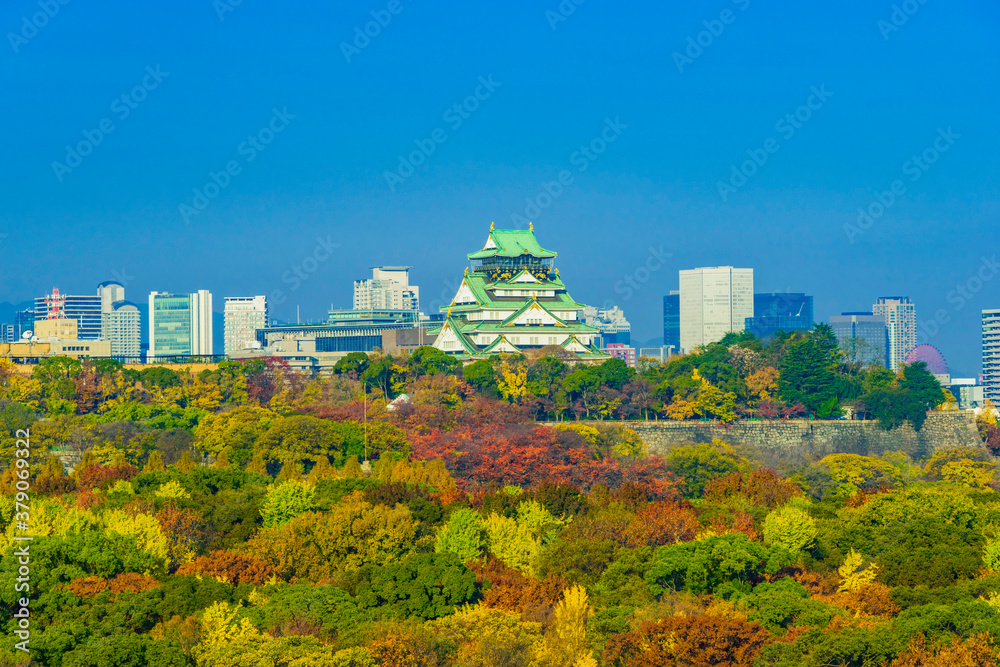 Fototapeta premium 大阪城の紅葉