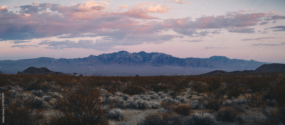 Mojave Mountain Range