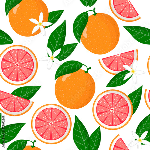 Vector cartoon seamless pattern with Citrus paradisi or Grapefruit exotic fruits, flowers and leafs on white background