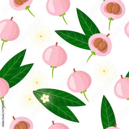 Fototapeta Naklejka Na Ścianę i Meble -  Vector cartoon seamless pattern with Syzygium jambos or Pomarose exotic fruits, flowers and leafs on white background