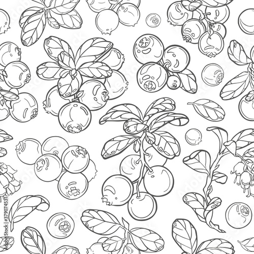 Lingonberry seamless pattern, black and white line style