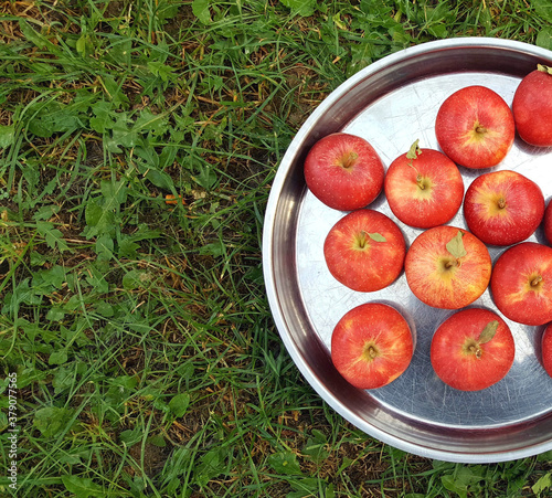 Red apples, ripe in a metal platter on grass