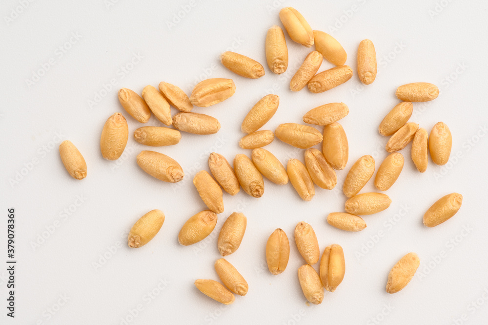 Obraz premium Seed of Wheat grain on white