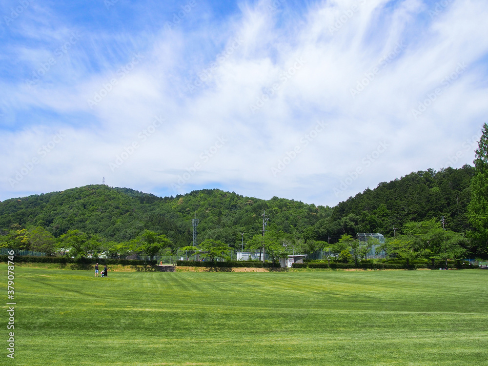 Fototapeta premium とてもきれいな岐阜の公園の青空と木々・芝生