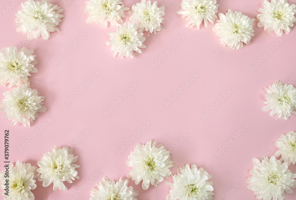 Spring composition with white daisy flowers on pink background. Flat lay, copy space.