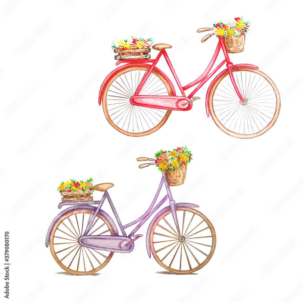 Fototapeta premium Two retro bicycles, red and purple