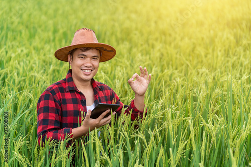 Happy Asian farmers succeed after using the research tablet and studying the development of rice varieties in the field . To increase the productivity. Agriculture technology concept.