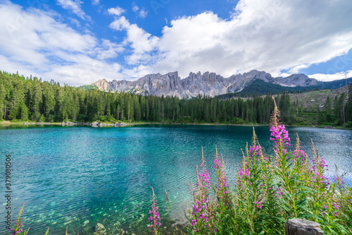 Fototapeta Naklejka Na Ścianę i Meble -  Carezza lake with purple flowers (Lago di Carezza)Dolomites, Alps. South Tyrol. Italy
