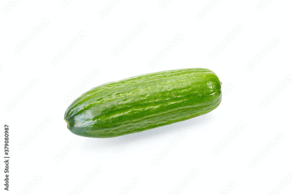 Green short cucumber Green short cucumber